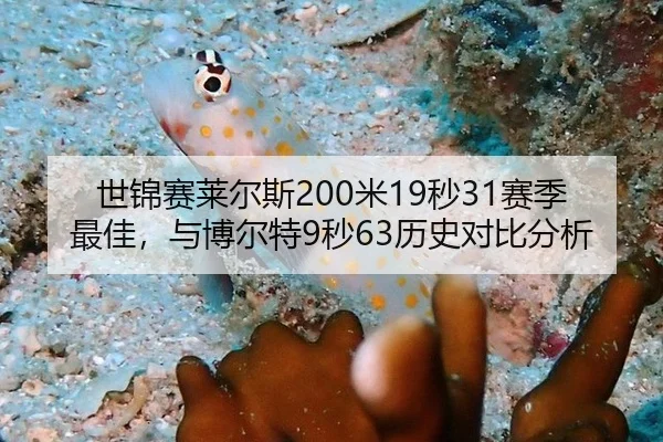 世锦赛莱尔斯200米19秒31赛季最佳，与博尔特9秒63历史对比分析